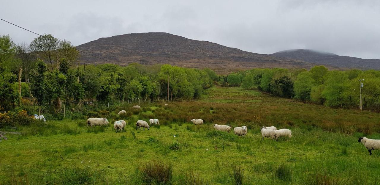 Mountain View Bed & Breakfast, Kenmare, Co. Kerry, Ireland Exteriör bild