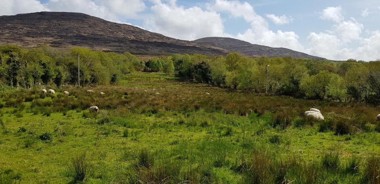 Mountain View Bed & Breakfast, Kenmare, Co. Kerry, Ireland Exteriör bild